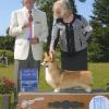 GCh. Calista's Reaching For The Moon
("Maida")